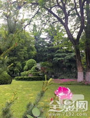 花动一山春色所描绘的情景 花动一山春色的翻译