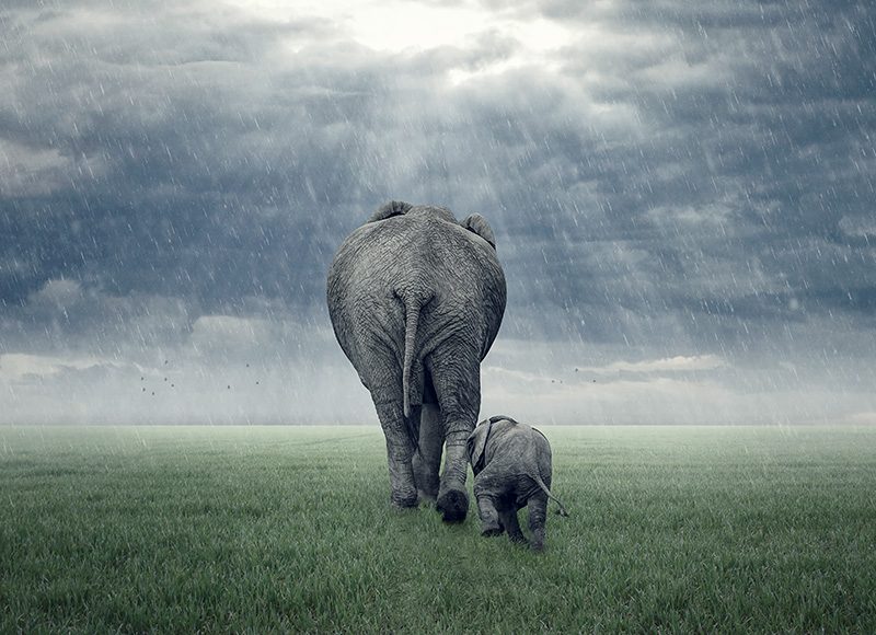 制作穿透云层的光线是什么 穿透云层的光线叫什么图1