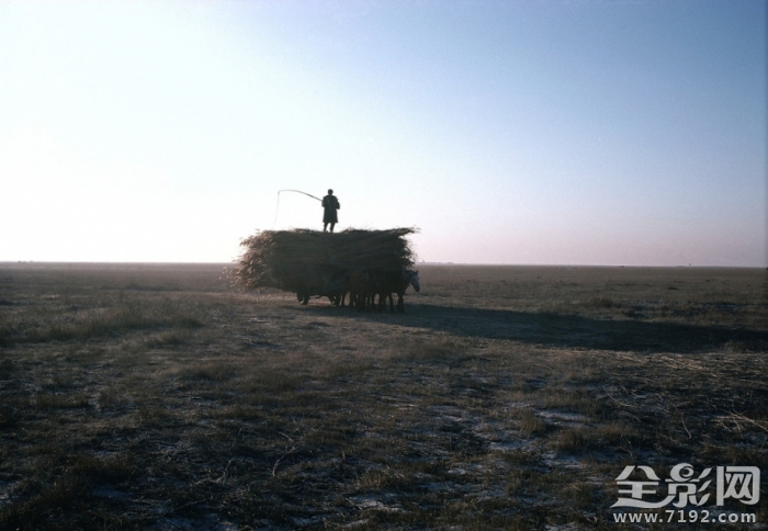 80年代的纯净影像是什么 80年代珍贵影像图2