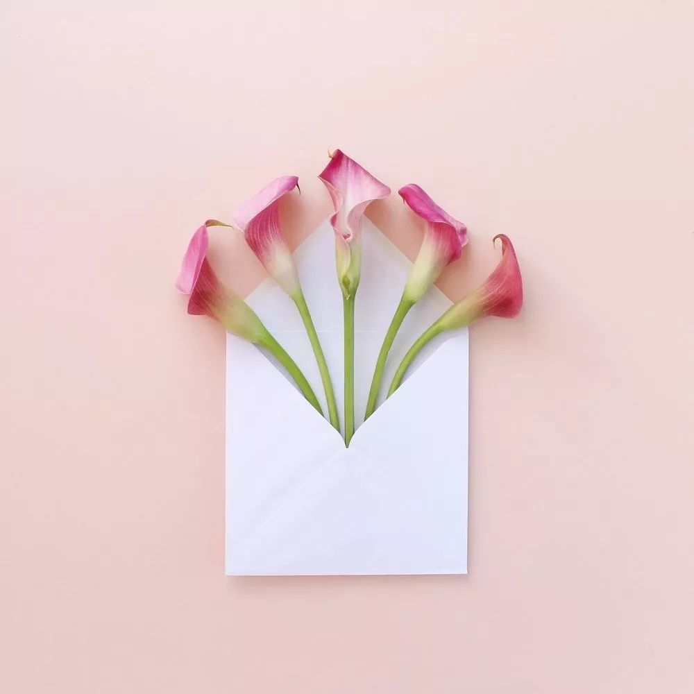 色彩强调图片 色彩强弱感图片图3