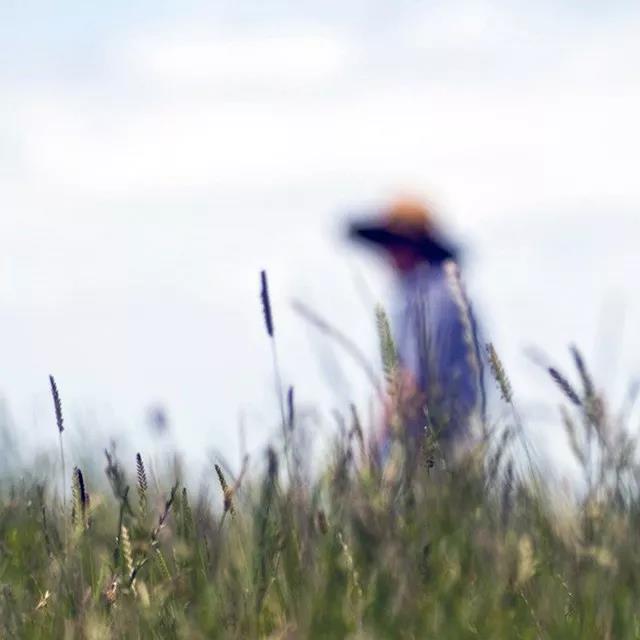 抽象摄影技巧 抽象 摄影图3