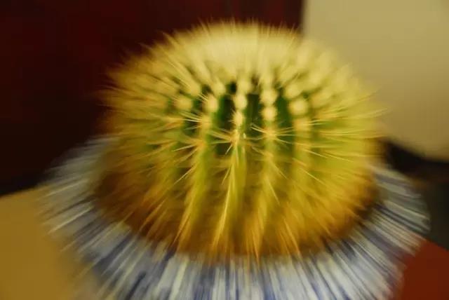 抽象摄影技巧 抽象 摄影