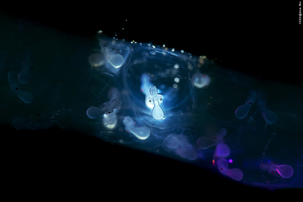 小多带你去海底 带你去海底世界