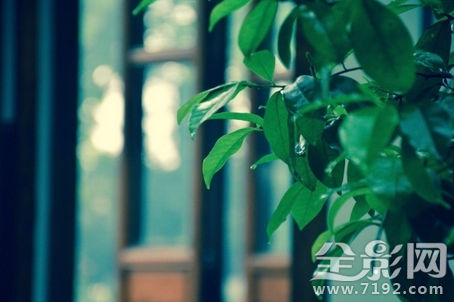 一切都像刚睡醒的样子欣欣然张开了眼作用 202路公交车线图1