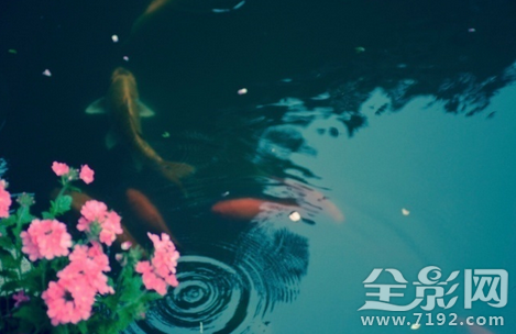 一切都像刚睡醒的样子欣欣然张开了眼作用 202路公交车线图2