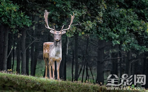 我看的这个是真的 我真的要看什么图2