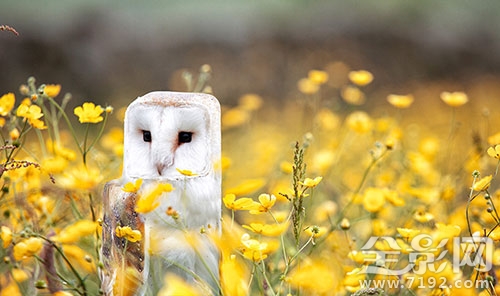 我看的这个是真的 我真的要看什么图3