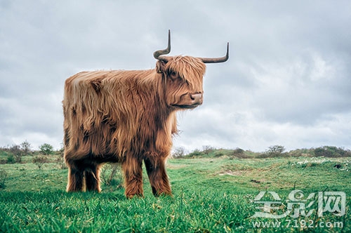 我看的这个是真的 我真的要看什么