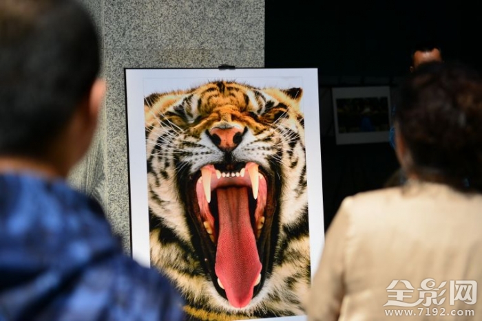 蒙古族人物摄影 蒙古族婚纱摄影