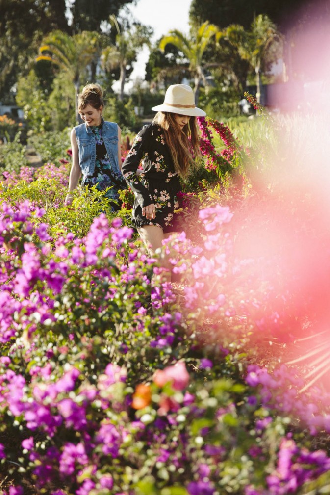 翘首盼春来的假日美人是谁 翘首盼佳音的意思