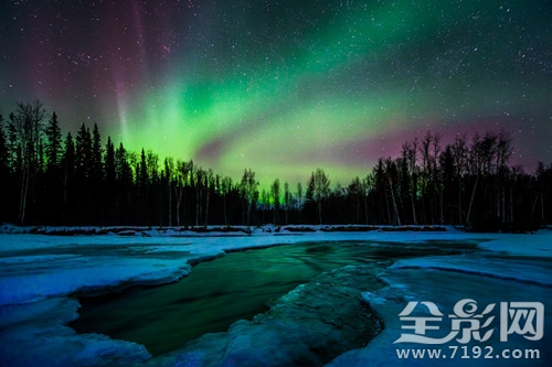 让人流连忘返的奇幻旅行作文 奇幻旅程作文图3