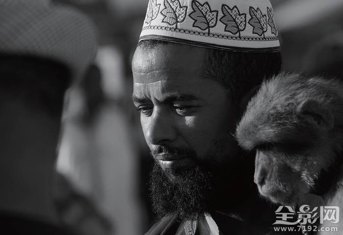 日落家园阅读理解答案 日落家园是真人秀吗图3