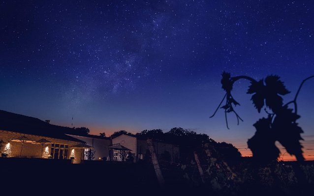 人头马coupe shanghai 人头马之家上海站