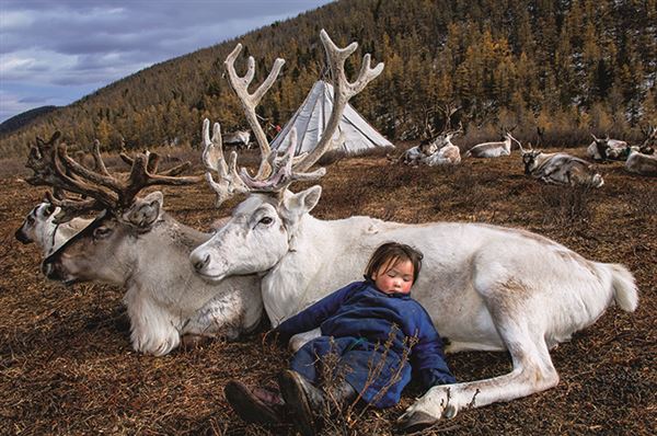 泰加针叶林带 泰加林是由耐寒的针叶林组成的植被类型
