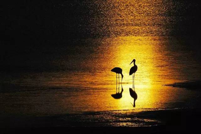 中国获奖摄影作品欣赏 中国摄影获奖作品照片