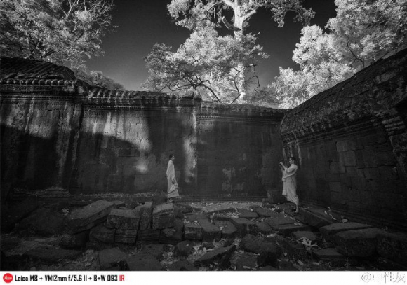 红外摄影百科 红外摄影什么意思