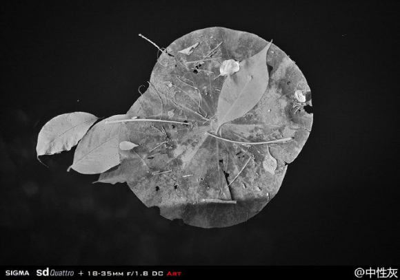 红外摄影百科 红外摄影什么意思