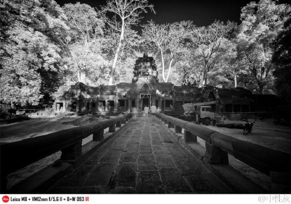 红外摄影百科 红外摄影什么意思