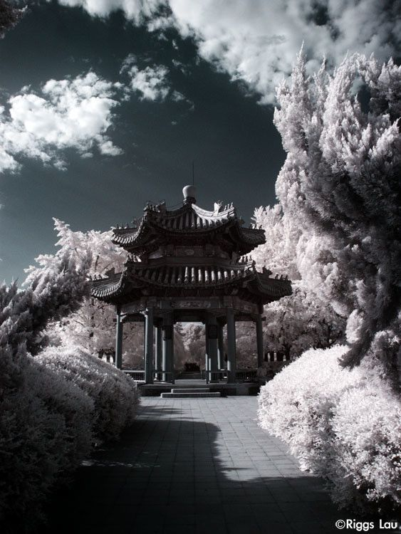 红外摄影百科 红外摄影什么意思