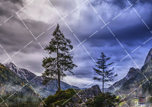 分离色调怎么用 色调分离app