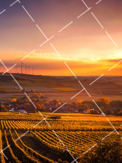 2021摄影作品是什么时候拍的 2021年摄影作品