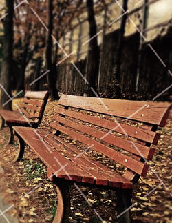 对角线构图技巧 对角线构图怎么画