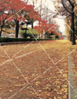 现实性摄影作品 写实主义摄影的主体与主题