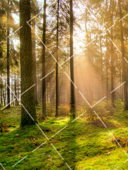 关于街头摄影我们应该怎样去理解这一观点 对街头摄影的认识