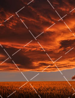 后期可以调曝光吗- 调整曝光