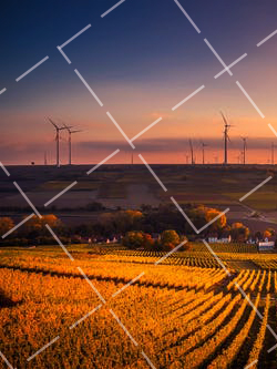 旅游拍摄的技巧 旅游拍摄视频