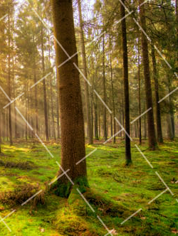 这 5 种失误,会毁掉你的长曝光作品英文 长曝光损伤相机吗