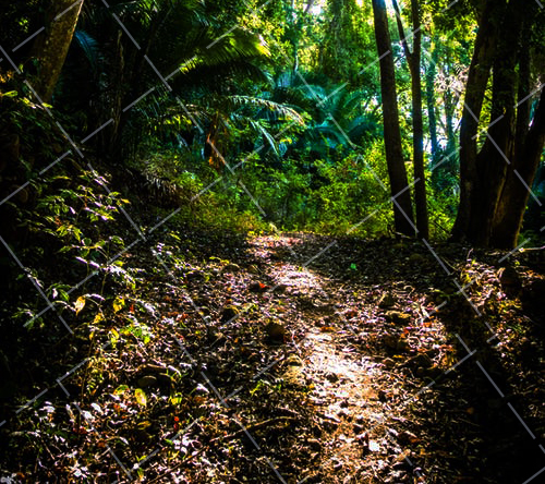 摄影入门单反推荐 摄影新手入门应该买什么单反