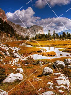 想拍出超动感人像吗-这 7 个方法要记牢吗 如何拍动感照片