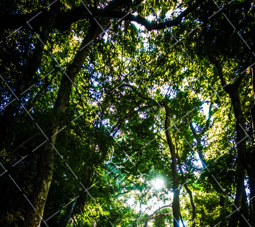 常见的相机曝光模式,到底哪种最好用呢 相机曝光模式是什么意思