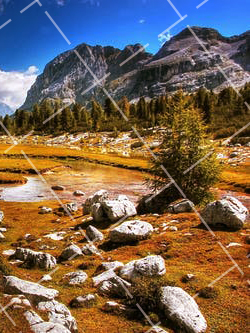 海尔冰箱一直嗡嗡响,打开就不响了 丹参和红枣能疏通血管吗