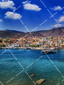 静物摄影大师作品 艺术 静物摄影大师作品欣赏