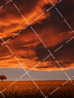 摄影初级课程 初级摄影知识