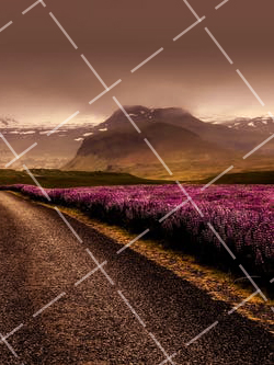 危害最大的 5 种滤镜应用误区是什么 滤镜的弊端