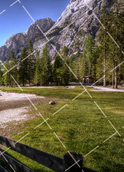 如何让你的荷花摄影作品更容易获奖呢 荷花摄影技巧