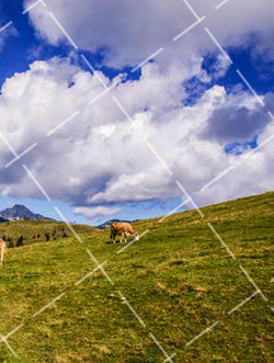 2020 淘宝服装的拍摄特点与要求是什么 淘宝服装拍摄风格