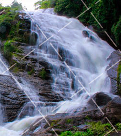 雨天摄影技巧 雨天拍摄技巧