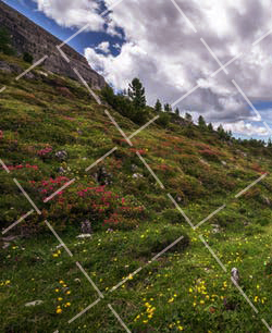 傻瓜相机拍摄技巧 傻瓜相机介绍