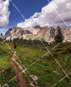 2021摄影美术作品怎么写文案 美术摄影作业