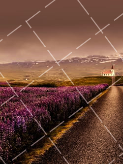 大学摄影专业书籍 大学摄影艺术书籍