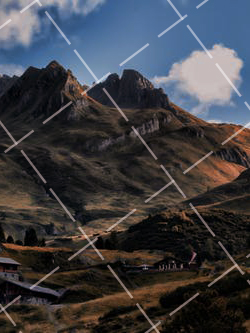 微观世界 探寻神奇而美丽的昆虫世界阅读答案 昆虫微观世界纪录片