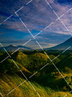 单身狗自拍照发朋友圈的说说 单身狗自拍头像