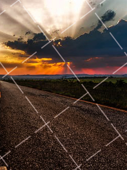 2021如何欣赏摄影作品呢 怎样欣赏摄影作品