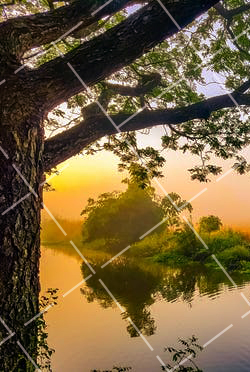 5 个拍好城市风光的小技巧是什么 如何拍摄城市风光