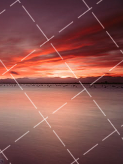 最需要低角度拍摄的 4 大主题是什么 低角度拍摄作品