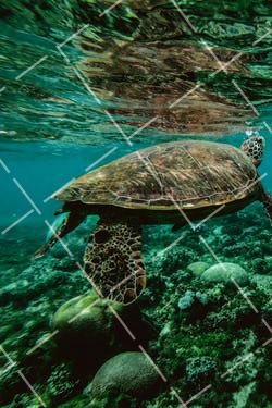 2020 请教单反摄影问题.摄影技巧视频 单反摄影技巧大全